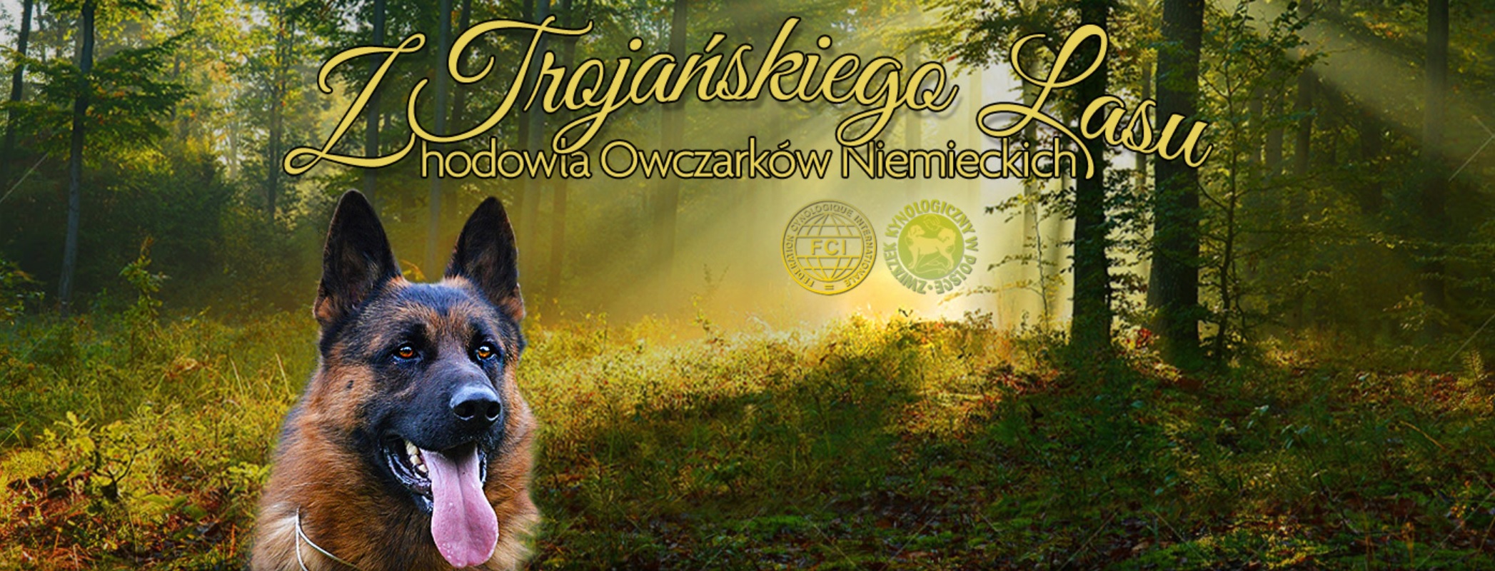 z trojanskiego